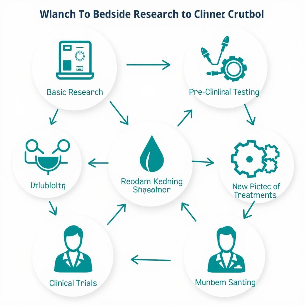 Bench to Bedside Research Process Illustration