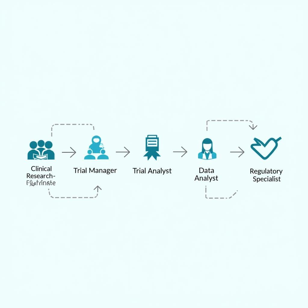 Various career paths in clinical research, including coordinator, manager, and data analyst.