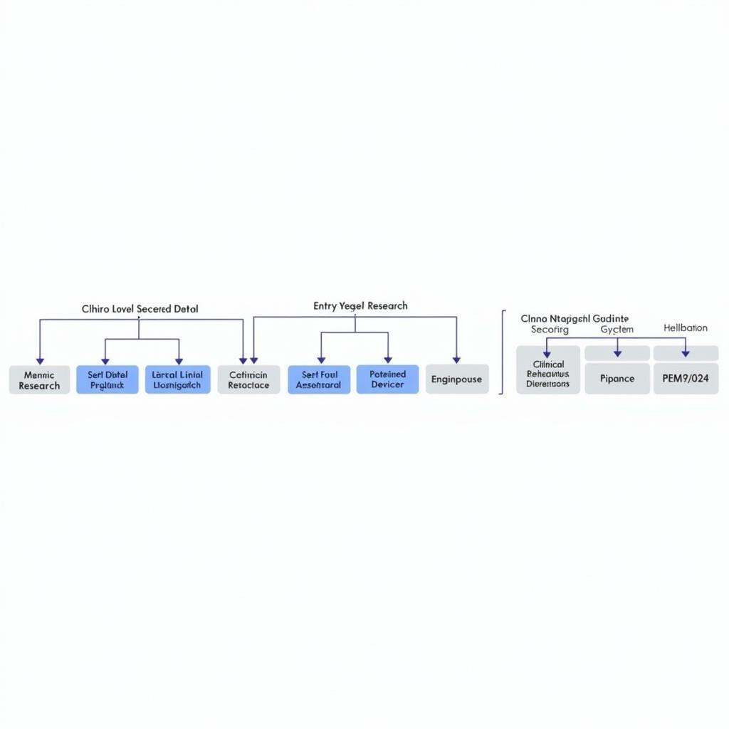 Career Progression for a Clinical Research Manager