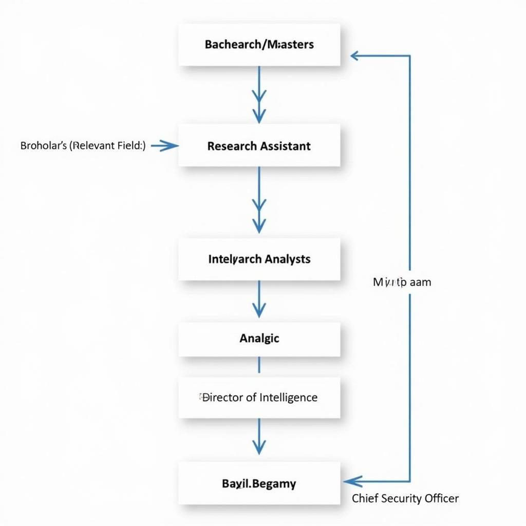 A flowchart depicting a potential career path for an intelligence research specialist