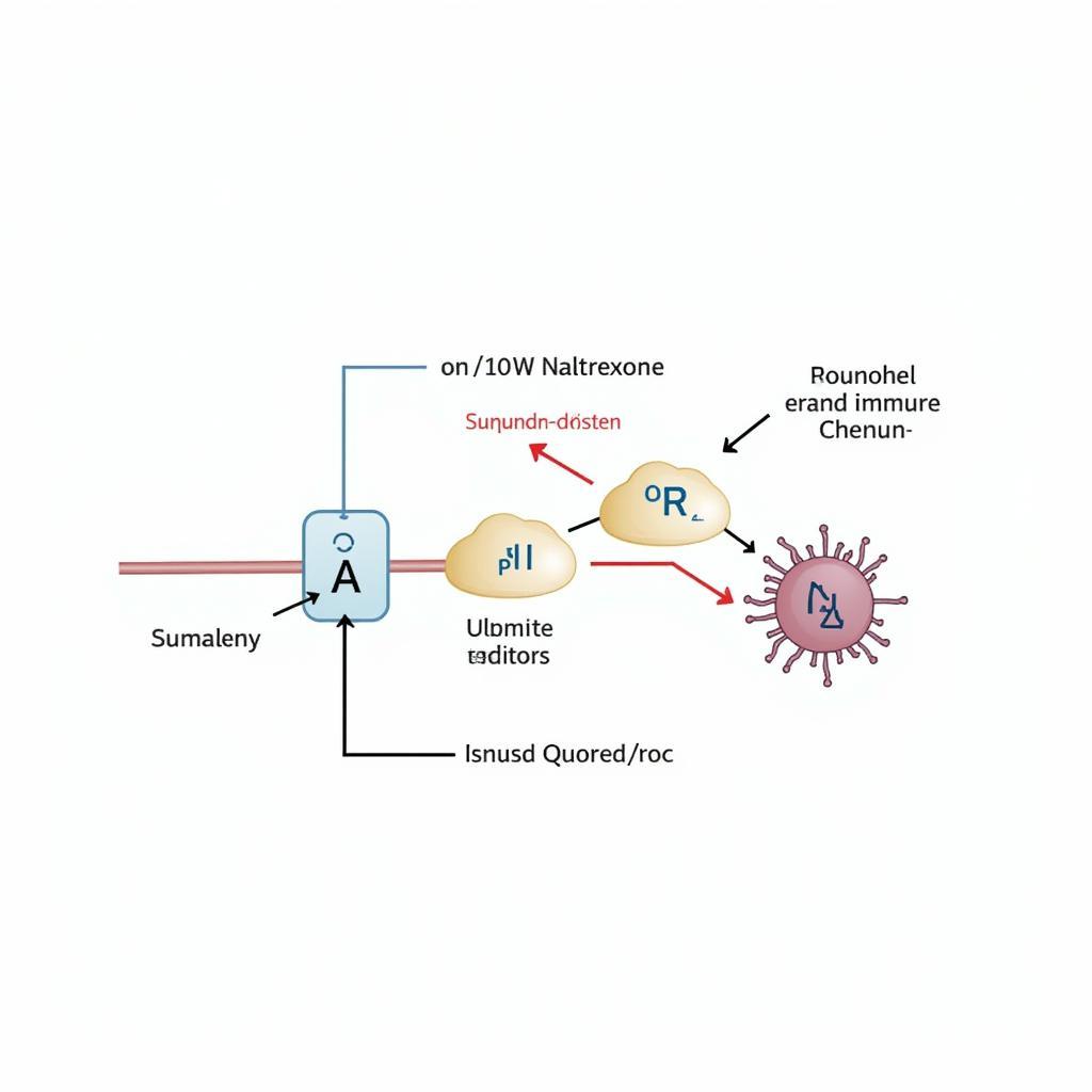 LDN Mechanism of Action Diagram