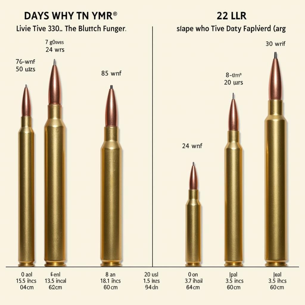 Magnum Research 22 WMR Cartridge Comparison with .22 LR