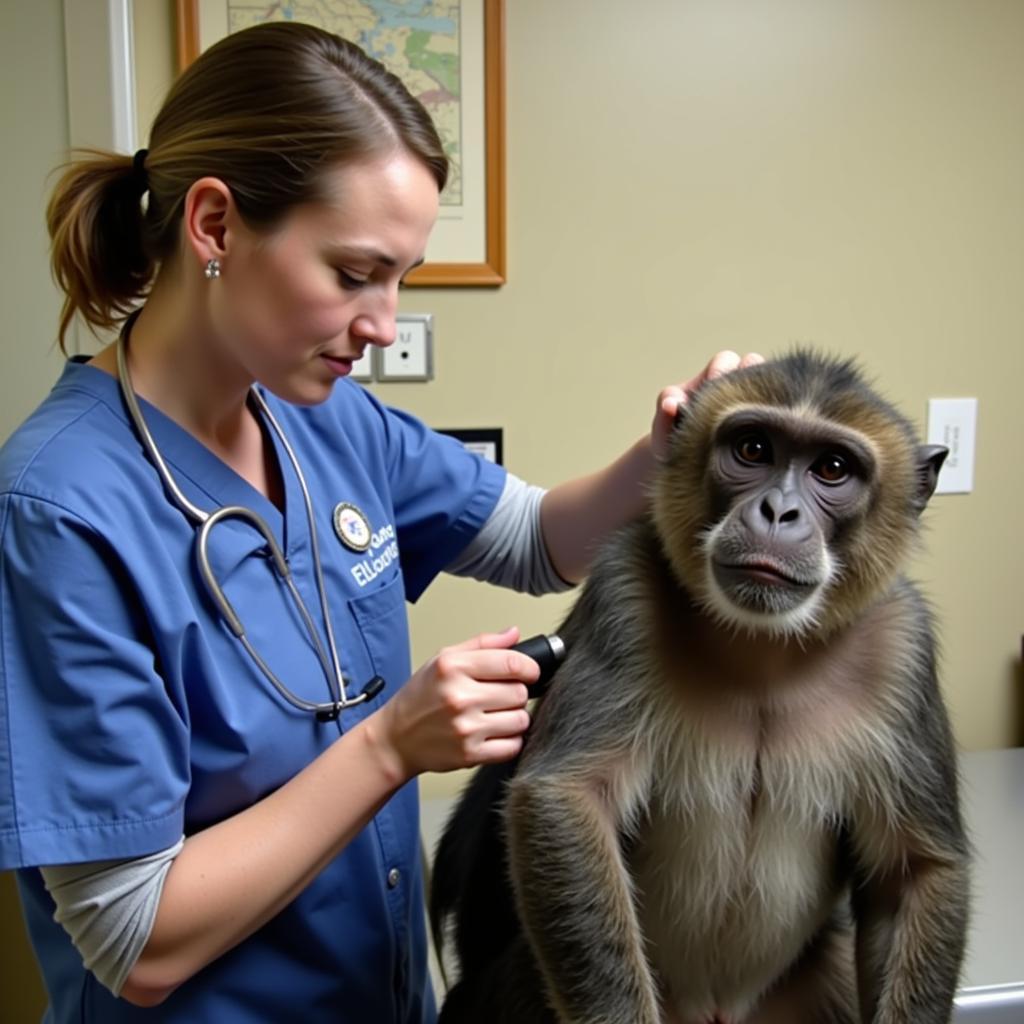 Primate Care and Welfare at the CNPRC