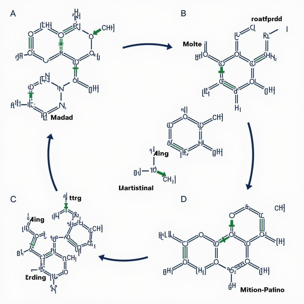 Research Peptides Structure