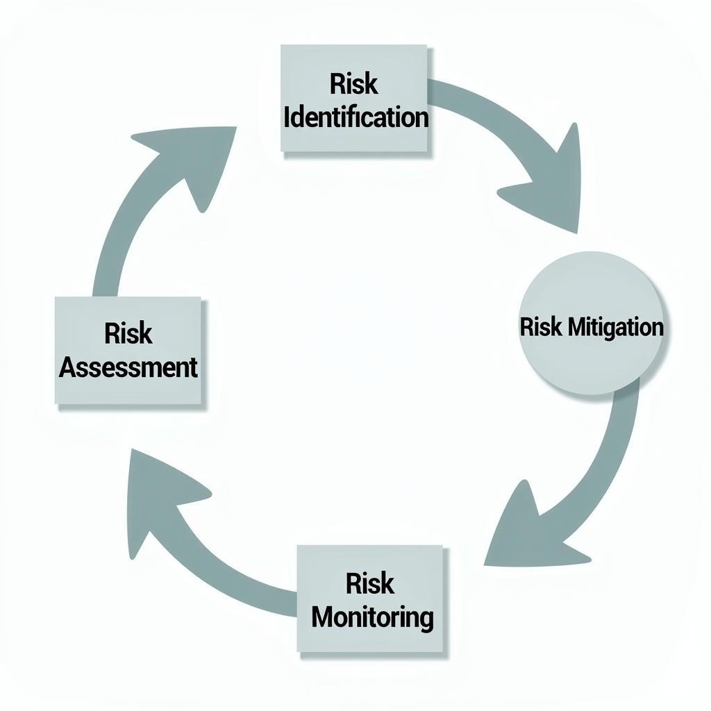 Clinical Research Risk Management Process Flowchart