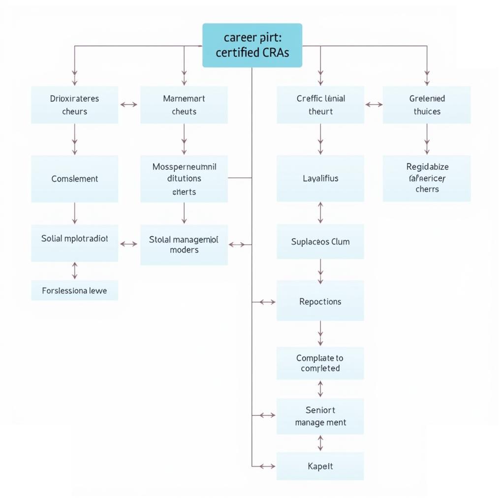 CRA Career Paths