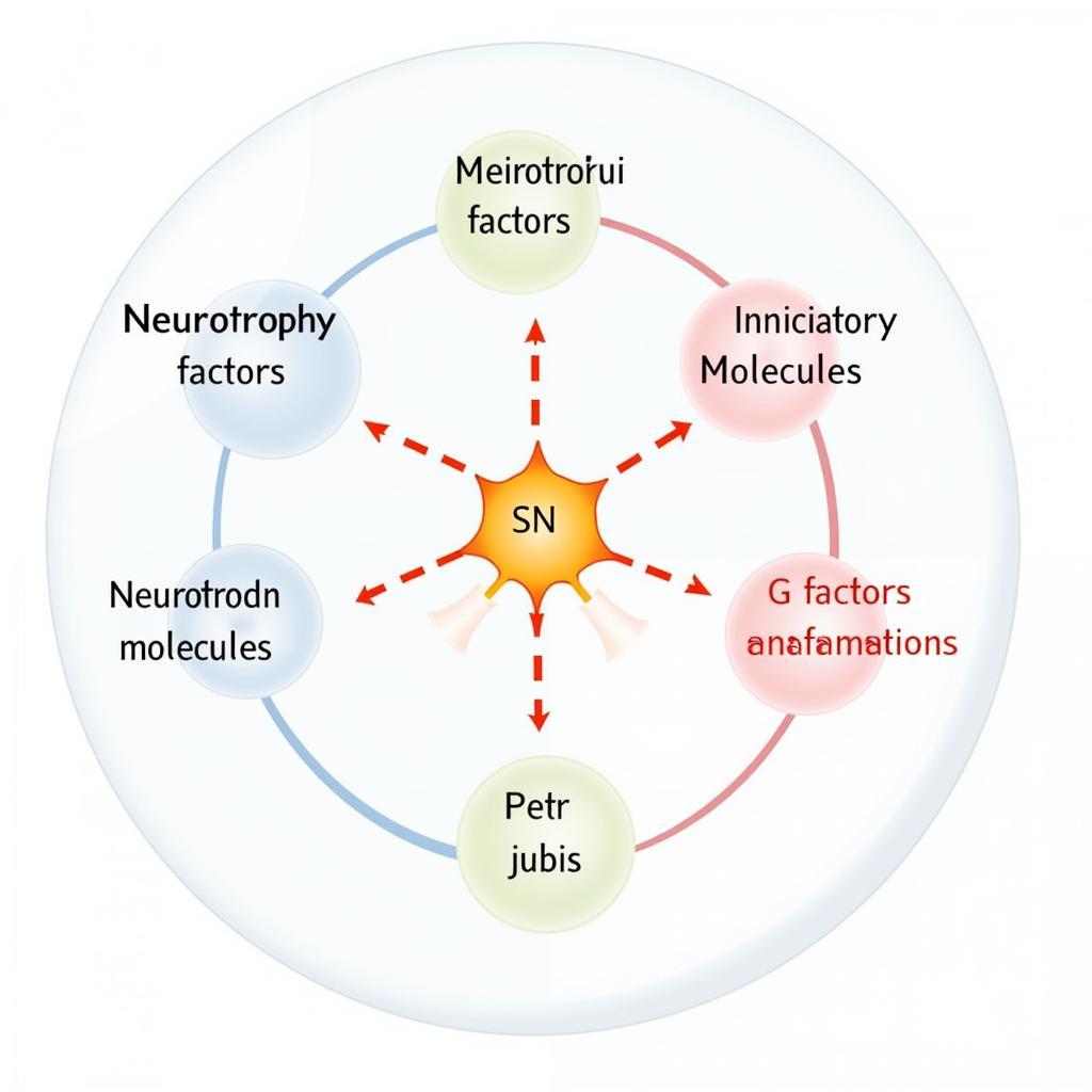 Factors Influencing Neuron Regeneration