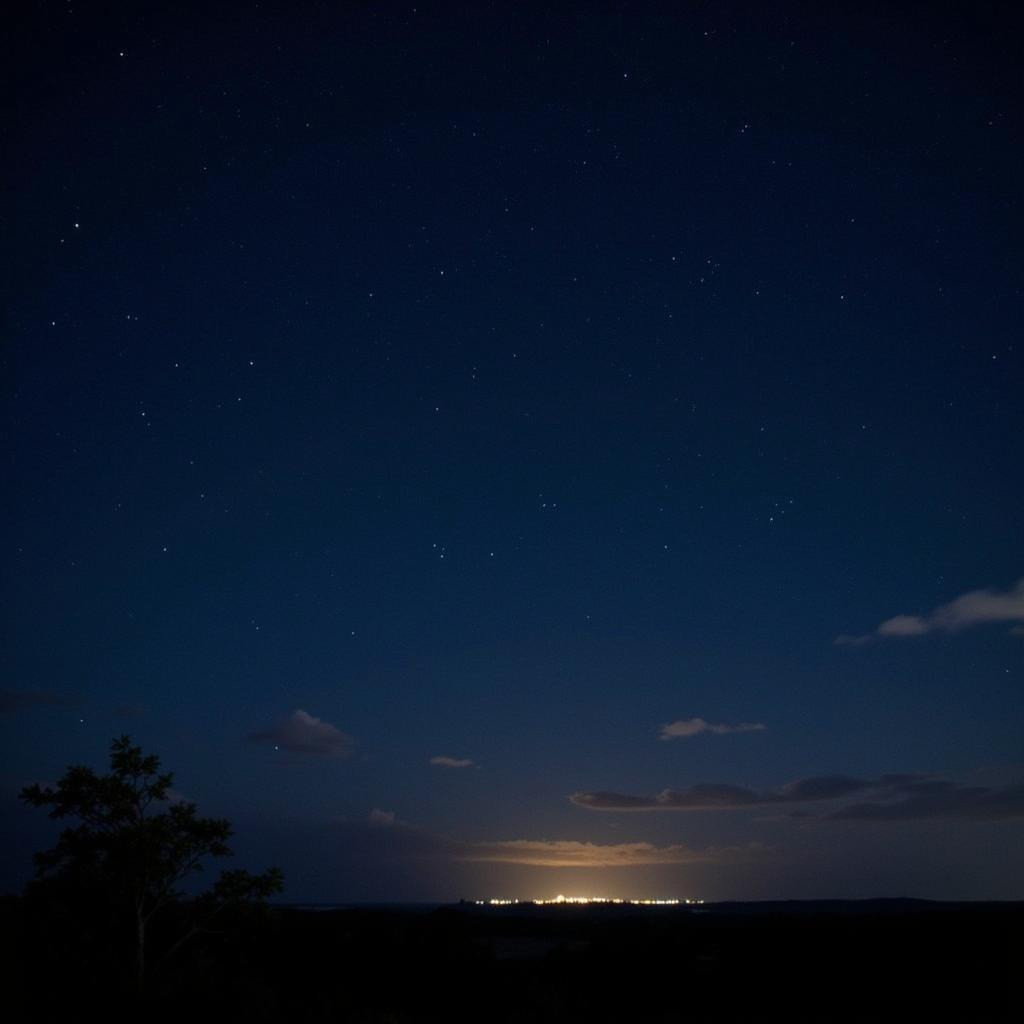 Night sky above the Guana Research Reserve with faint lights in the distance