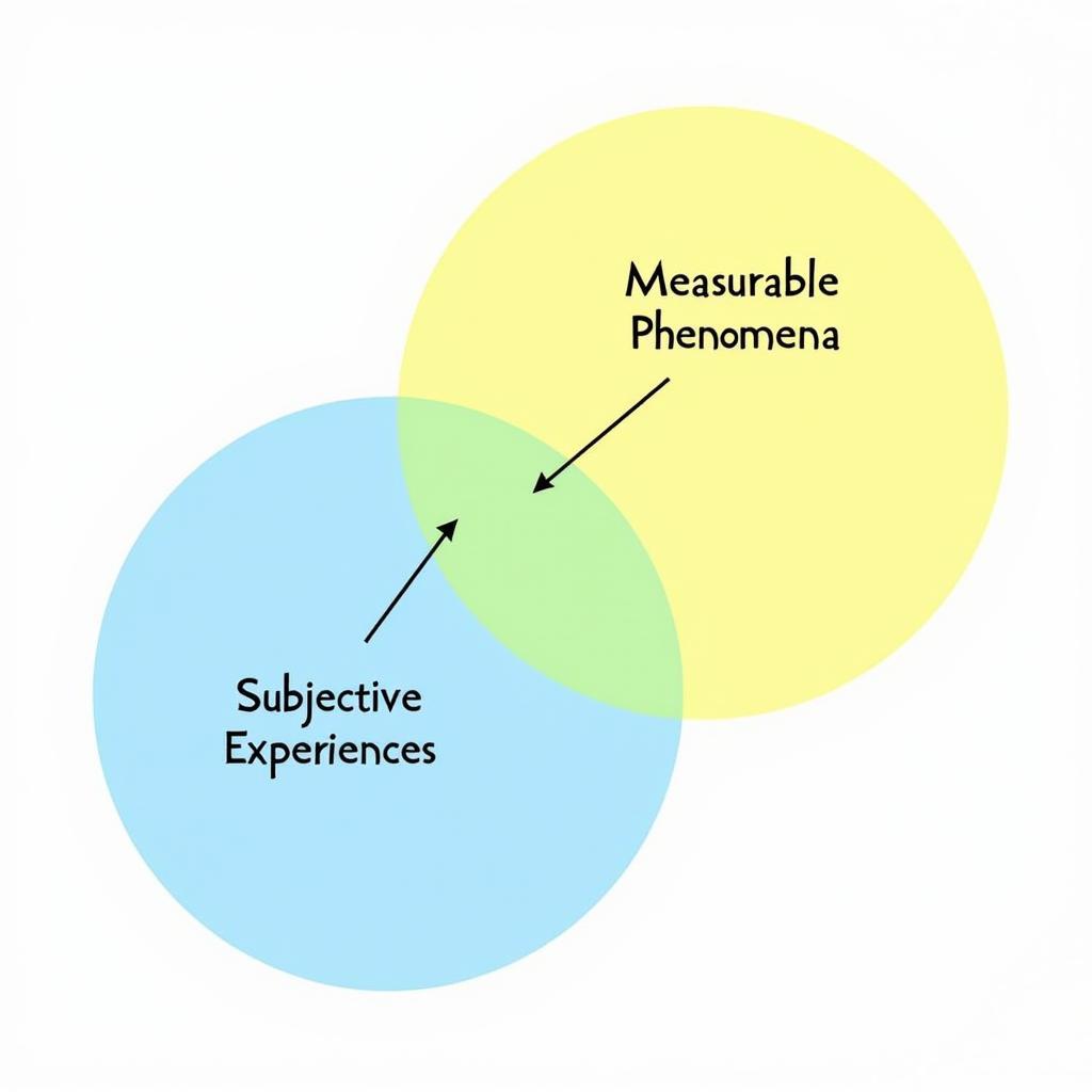 Impact of Fundamental Research Exclusion on Paranormal Investigations