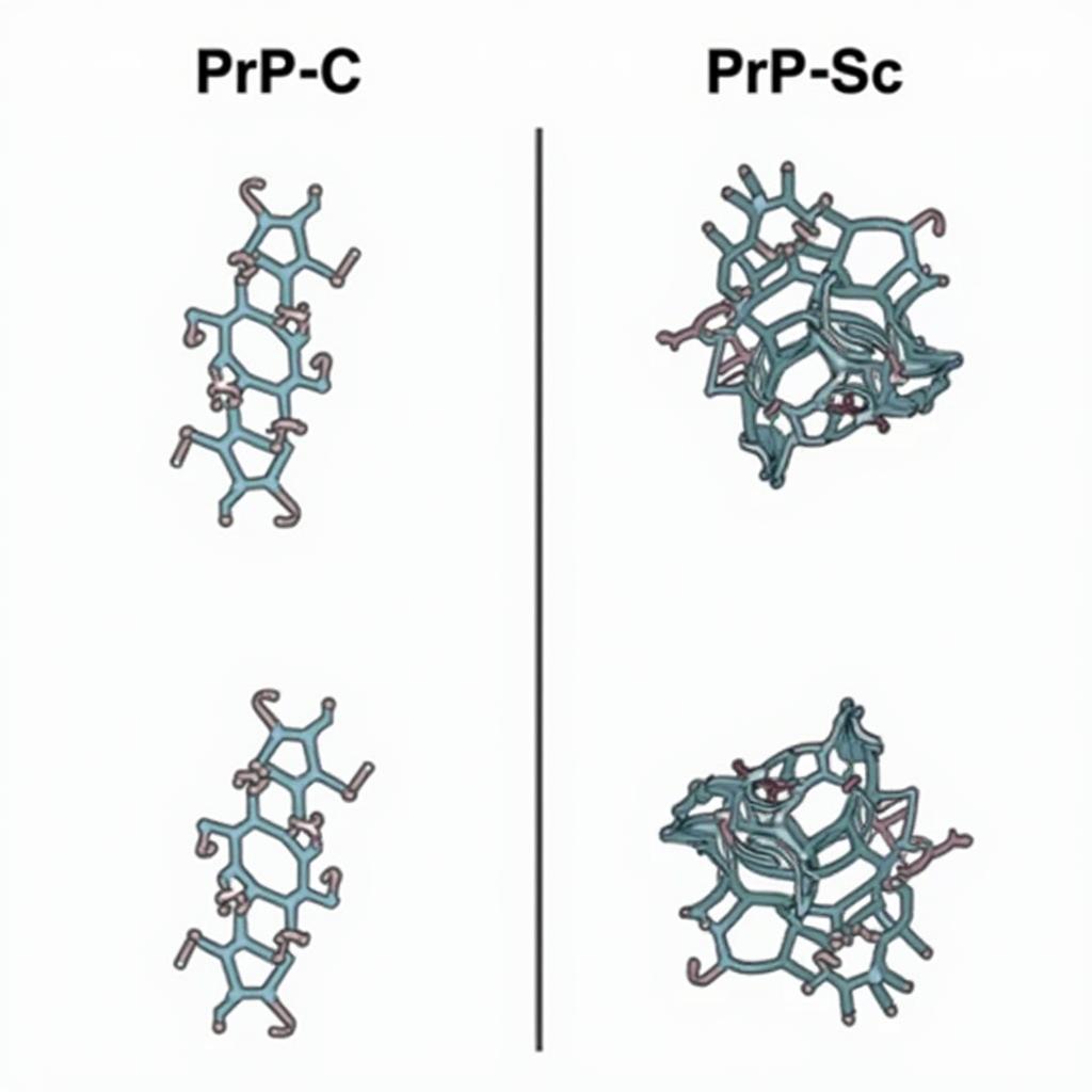 Prion Protein Structure: Normal vs. Misfolded