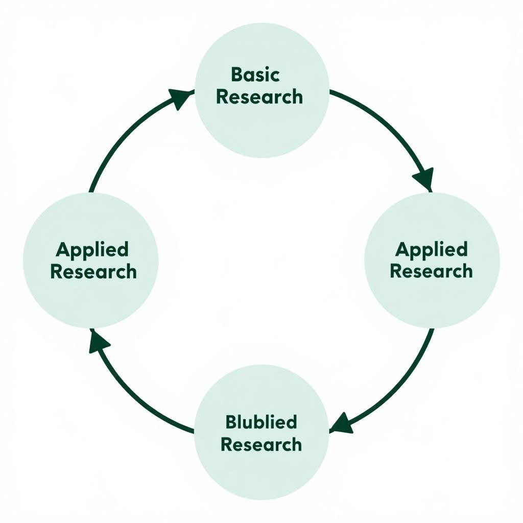 The interconnectedness of basic and applied research: A visual representation of how basic research informs applied research, and how applied research can in turn generate new questions for basic research, forming a continuous cycle of scientific discovery.