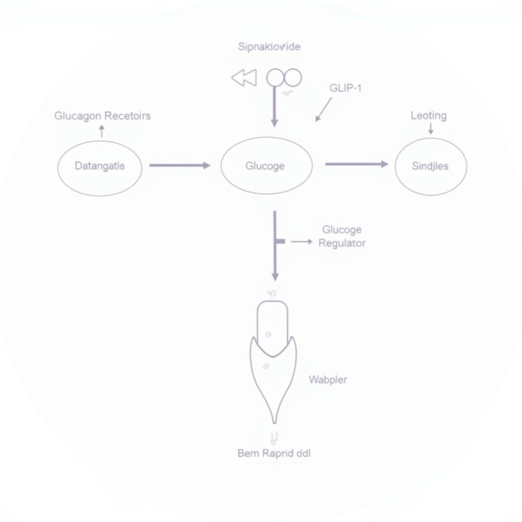 Retatrutide Mechanism of Action