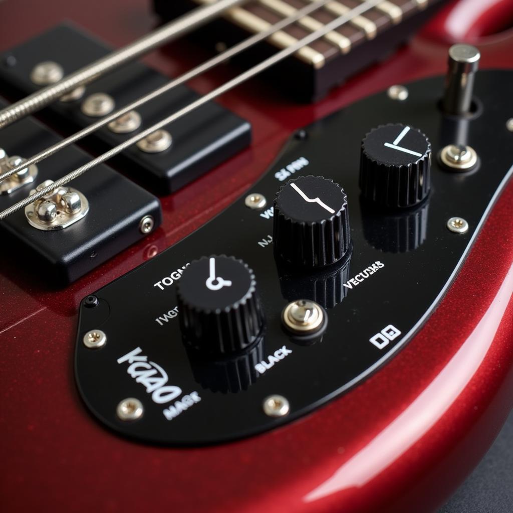 Schecter Stiletto Studio 5 Bass Electronics Close-up